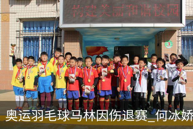 奥运羽毛球马林因伤退赛 何冰娇进决赛将战安洗莹