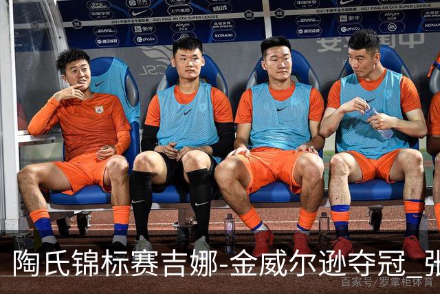 陶氏锦标赛吉娜-金/威尔逊夺冠 张维维/张雅惠T12