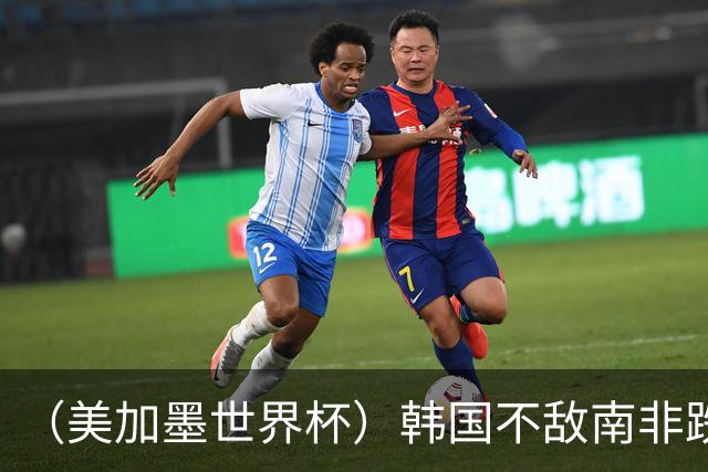 （美加墨世界杯）韩国不敌南非跌至小组第三 出线前景待定